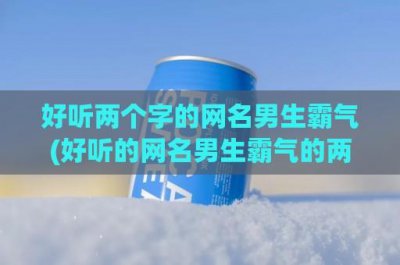 ​好听两个字的网名男生霸气(好听的网名男生霸气的两个字网名)