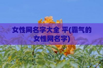 ​女性网名字大全 平(霸气的女性网名字)