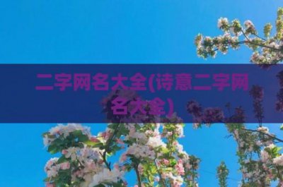 ​二字网名大全(诗意二字网名大全)