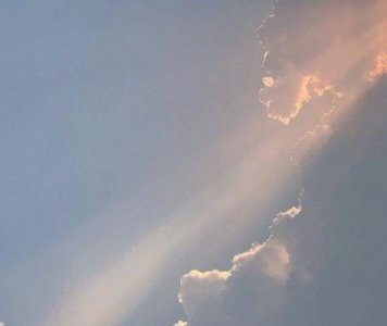 ​感恩爱国的句子大全
