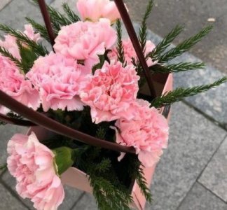 ​赞美同学的句子大全(精选90句)