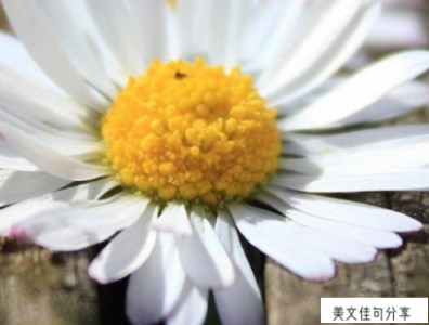 ​心情很不好很压抑怎么发朋友圈（60句家庭生活压抑憋屈）