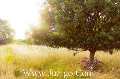 ​婚姻心情说说很现实的说说(婚姻被现实打败的心情说说)
