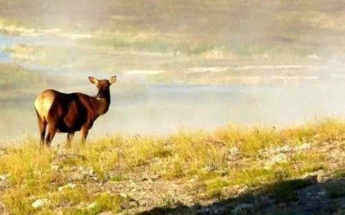 说明心情不好的伤感句子