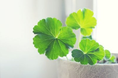 ​指环王中经典句子39句