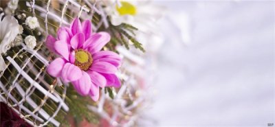 ​充满阳光的句子文案(充满阳光的经典句子文案，激发正能量，读懂受益一生)