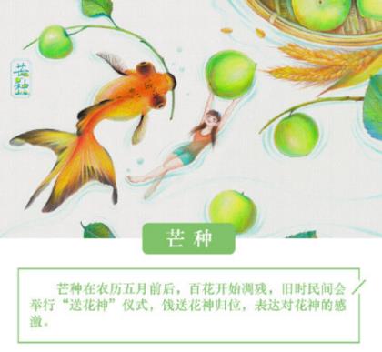 阳光女人早安