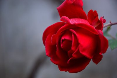 ​鼓励自己的心情说说91句