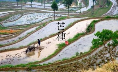​感悟收获一句话 今日感言一句话短句