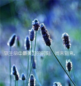 ​流产后的伤心说说句子（伤心的句子说说心情）