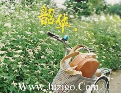 ​唯美的早安句子说说心情(精选23句)