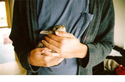 微信说说心情短语大全