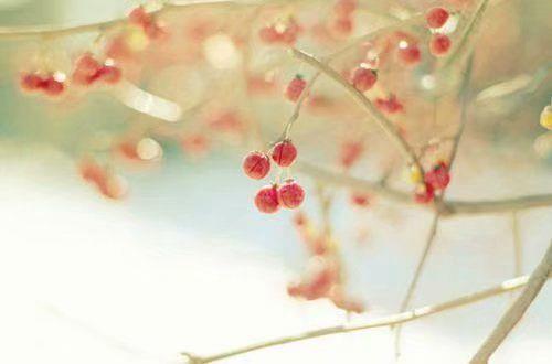 蒙蒙细雨心情唯美句子