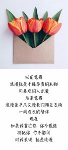 ​较为励志的句子[28条] (人之所以有一张嘴)