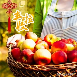 ​丰收的句子短句唯美（表达秋天大丰收的心情文案）