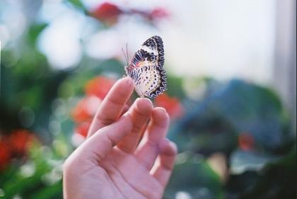 学生可以摘抄的神仙段落