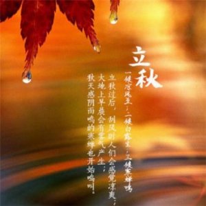 ​形容空虚寂寞的句子（表达心情空虚的句子）