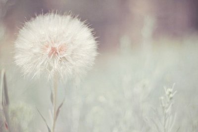 ​为人处世励志名言39句