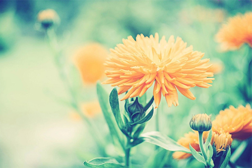 愚人节整情人短信81句