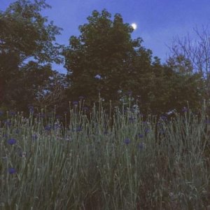 ​2026元宵节祝福短信 元宵节的祝福语句有哪些