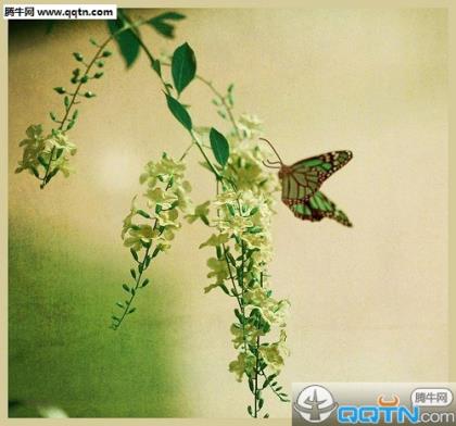 元宵节的祝福语句有哪些