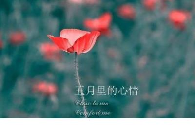 企业中秋节祝福短信