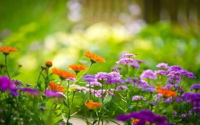 ​搞笑中秋短信大全，中秋节搞怪短信祝福语