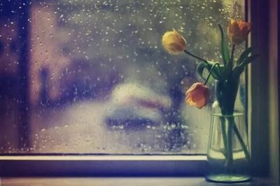 ​生日短信大全(祝福问候语短信大全)