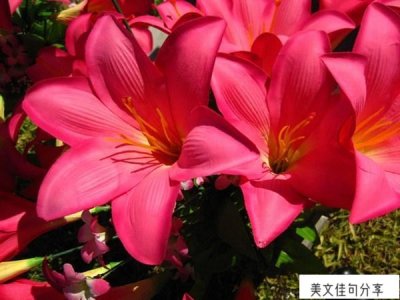 ​朋友圈伤心的句子（60句心里难受压抑说说）