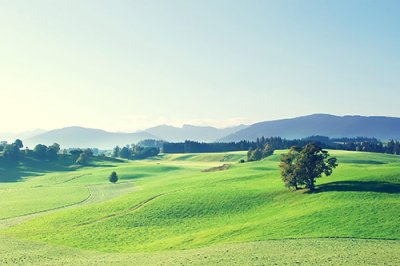 ​2026年终总结的说说句子朋友圈(精选81句)