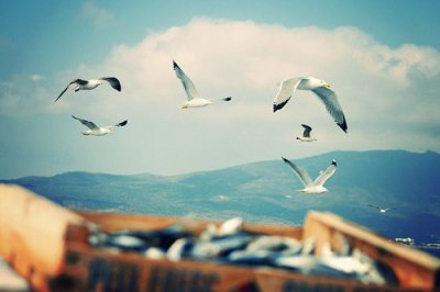 ​qq2023年说说大全123句