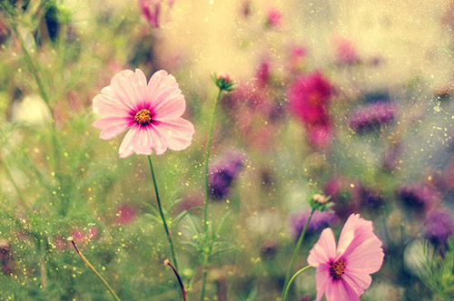 朋友圈说说男人86句