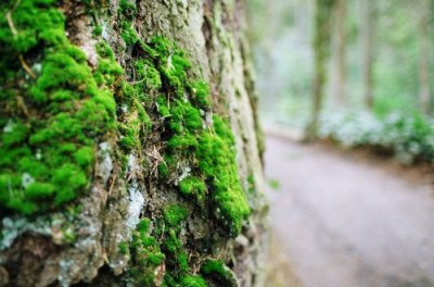 ​晚上失眠发朋友圈的句子失眠发的说说(精选78句)