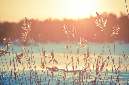 qq伤感说说关于友情83句