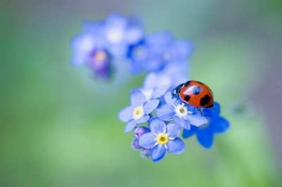 ​自己发婚纱照配的说说(通用82句)