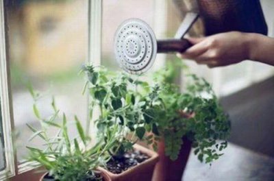 ​2026年学会包容懂得宽容的说说(56句)