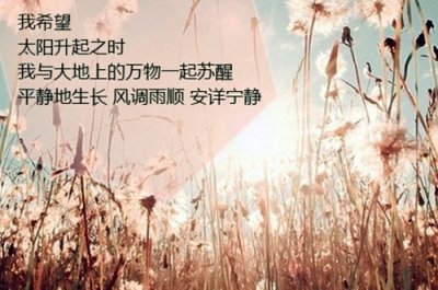 ​两口子感觉越来越陌生的说说(55句)