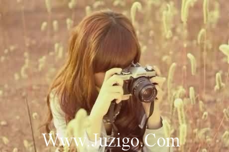 2023享受桃花说说文案精致精选跨年说说文案(精选50句)