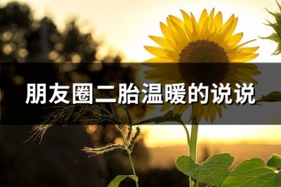 ​朋友圈二胎温暖的说说(必备48句)