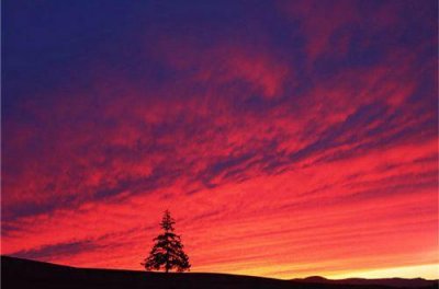 ​2026年伤心晚安的说说心情短语(35句)