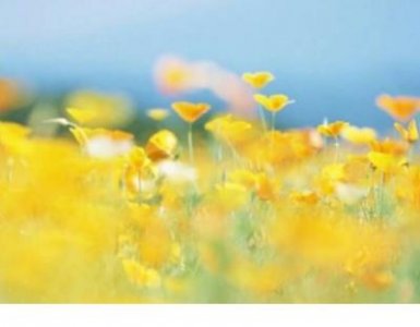 ​2026最后一个月说说 最后1个(30句)