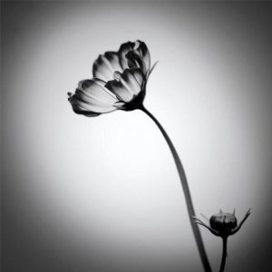 ​儿子惹自己生气的说说文字(治愈自己文字的图片)