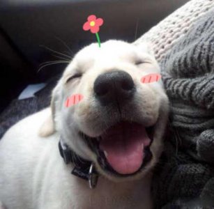 ​微信朋友圈搞笑说说 儿童节朋友圈文案