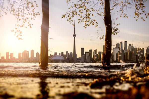 关于一句话一个眼神让人心寒的说说