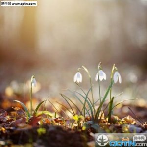 ​每天微笑的说说(每天都要微笑)