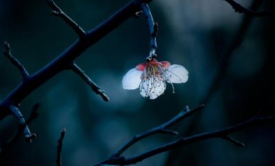 ​生活压力大好累说说[24条] (生活扛不住的压力说说)