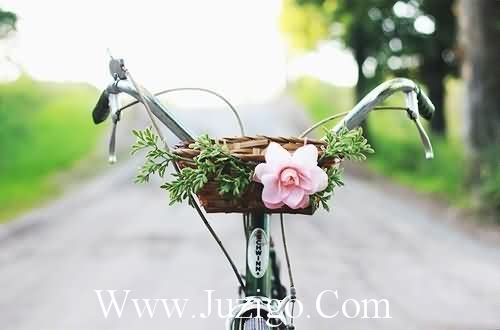 瑜伽运动打卡发朋友圈的说说(精选35句)