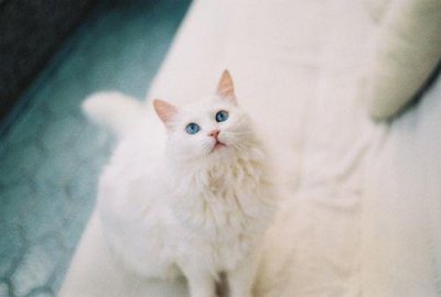 ​适合发qq空间的说说霸气（一个人很潇洒霸气说说）