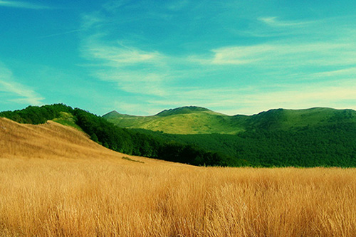 带图片的唯美qq说说大全