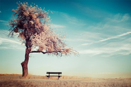 关于布洛芬发朋友圈的说说